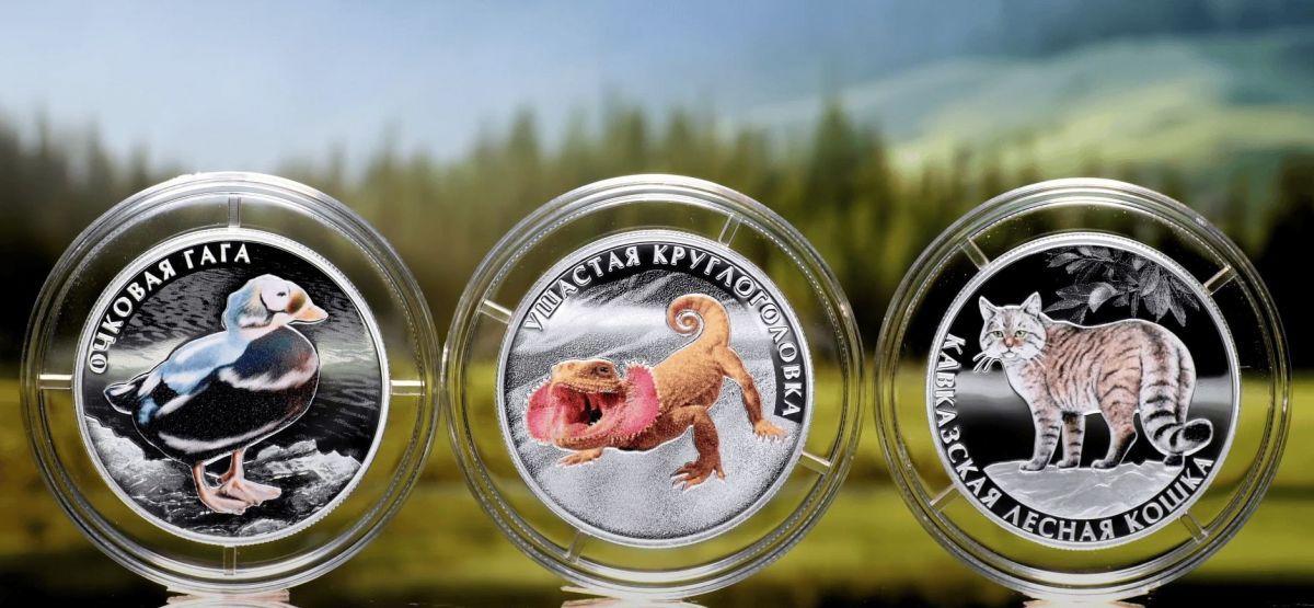 Кавказская лесная кошка, очковая гага и ушастая круглоголовка появились на новых монетах Банка России