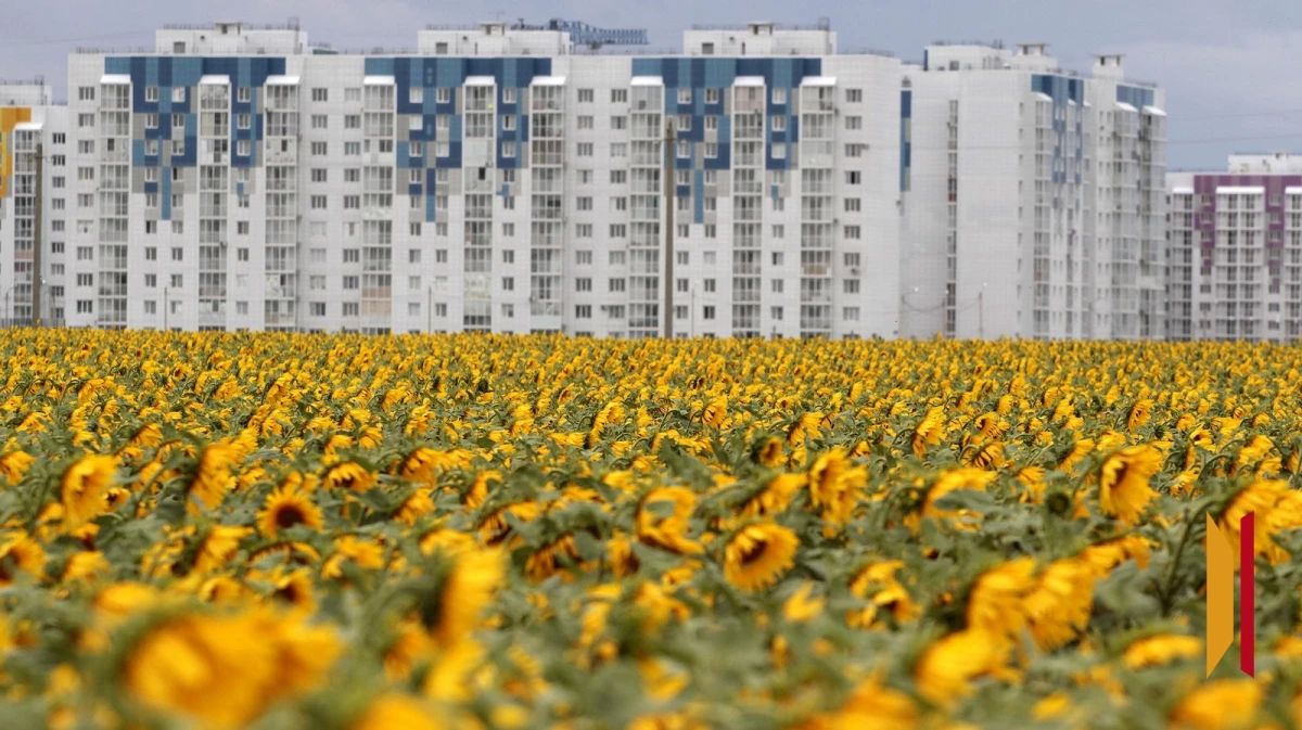В Воронежской области действует оранжевый уровень погодной опасности из-за сильной жары
