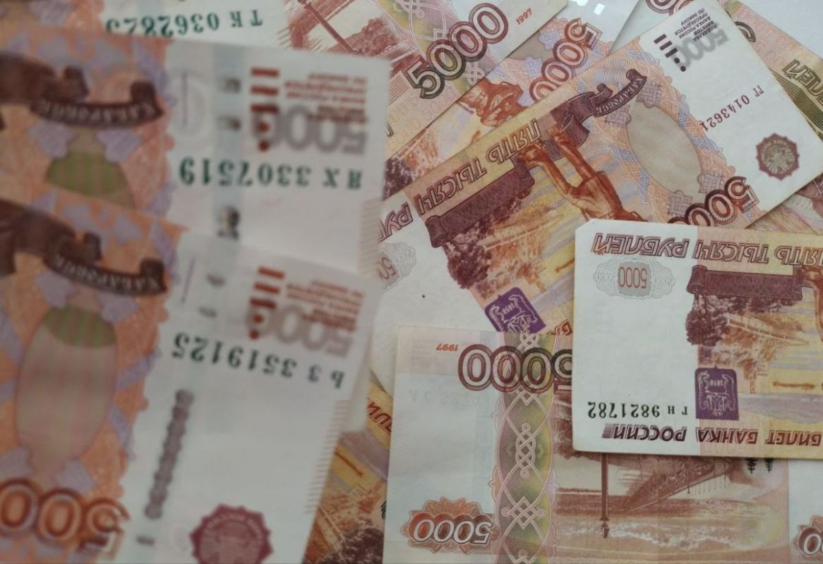 Схемы с займами на 296 млн рублей пресекли в Воронежской области