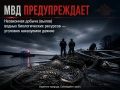 В Лискинском районе сотрудниками полиции возбуждено уголовное дело по факту незаконного вылова рыбы