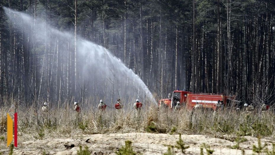 В Воронежской области наступил пик пожароопасного сезона