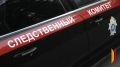 Глава СК запросил доклад после нападения на девушку на пляже в Воронеже
