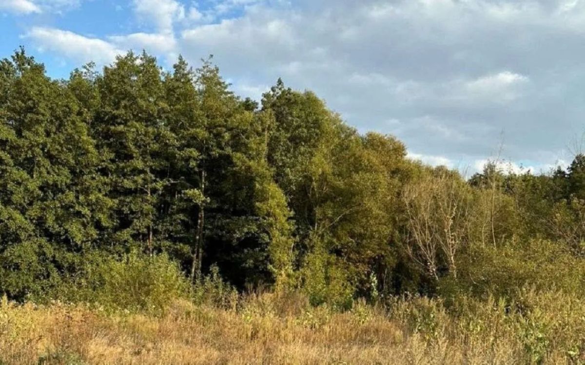 Согласно проекту указа губернатора Воронежской области Александра Гусева, размещенного в понедельник, 10 августа, на портале антикоррупционной экспертизы правительства области, в столице Черноземья выявили первый в 2026 году...