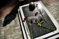 Более 430 млн рублей направлено на восстановление военно-мемориальных объектов Воронежской области за шесть лет