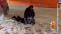 За взятку сотруднику ФСБ в Тверской области двое воронежцев получили условные сроки и штрафы по 10 миллионов
