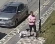 Брошенная собака в Шилово ждёт хозяйку вторые сутки