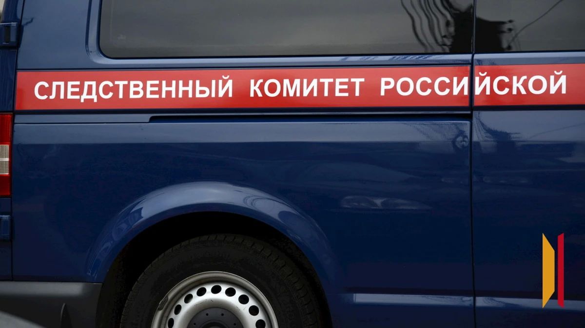 В Воронеже 7?летняя девочка лишилась части пальца из?за падения деревянной фигуры на детской площадке