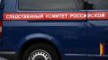В Воронеже 7летняя девочка лишилась части пальца изза падения деревянной фигуры на детской площадке