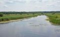 В селе Новая Усмань под Воронежем достали из воды тело 27 летнего мужчины