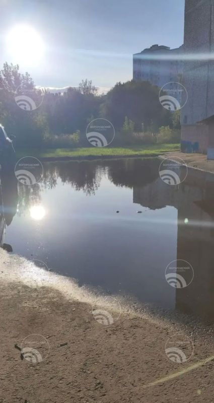 Друзья, не будем скрывать: мы тоже почитываем чат главы, и иногда там попадаются ну прямо интересные фото