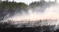 На юге Воронежской области установили чрезвычайную степень пожароопасности