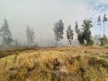 Количество районов с V классом пожароопасности в Воронежской области уменьшилось вдвое