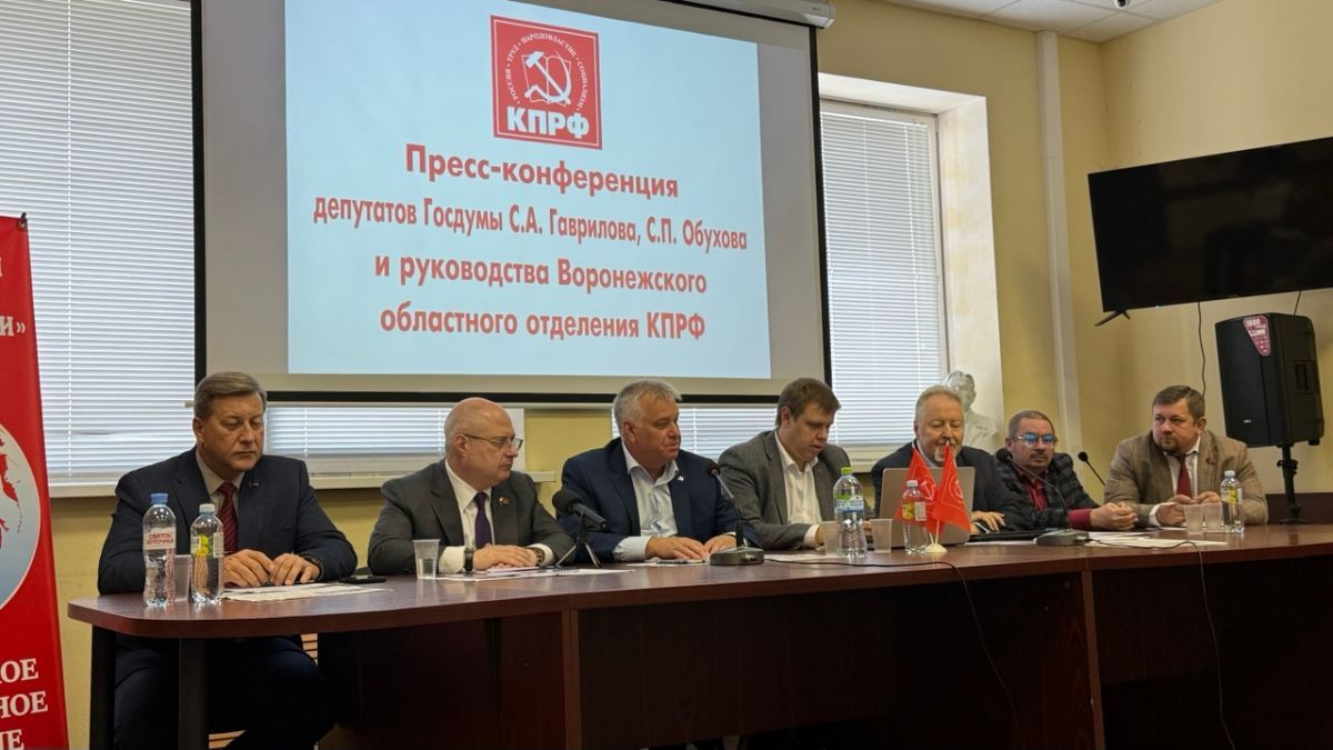 Бензиновый кризис, образование и «цифровой щит»: о чем говорили воронежские коммунисты на пресс-конференции