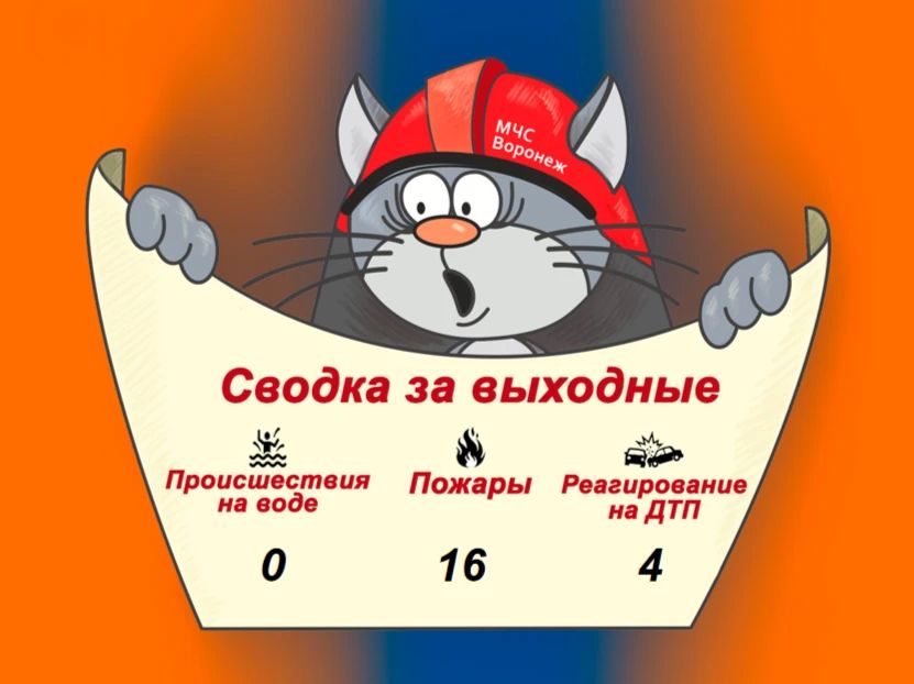 Оперативная сводка за выходные