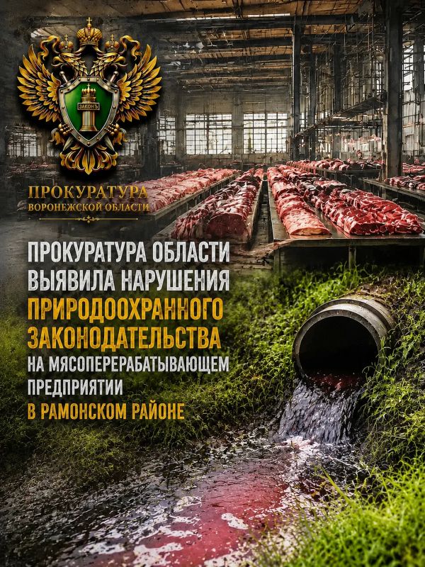Прокуратура области выявила нарушения природоохранного законодательства на мясоперерабатывающем предприятии в Рамонском районе