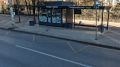 В Воронеже знакомство у Первомайского сада закончилось переломом черепа