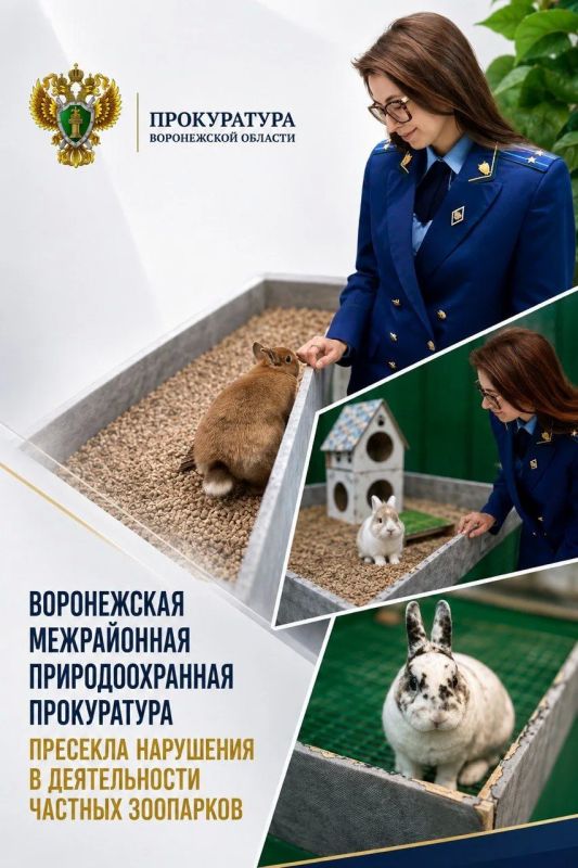 Воронежская межрайонная природоохранная прокуратура пресекла нарушения в деятельности частных зоопарков