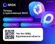 Воронежцы смогут записываться в МФЦ и проверять готовность документов через MAX