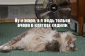Аномальная 37-градусная жара придёт в Воронежскую область на три дня