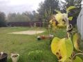 Август продолжает радовать теплой и солнечной погодой: на выходных ожидается до +34 градусов