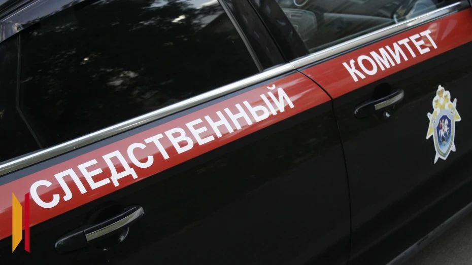 Ксения Собчак выступила в защиту воронежского мастера по ресницам, обвиняемой в мошенничестве