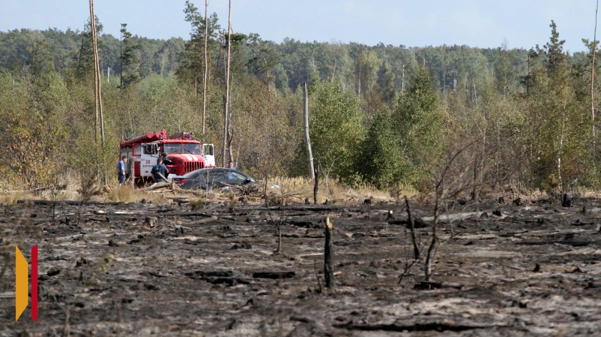 В Воронежской области продолжает действовать оранжевый уровень погодной опасности