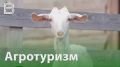 Агротуризм в России получит больше возможностей