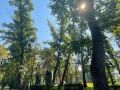 Последние теплые дни августа: в Воронежской области ожидается похолодание