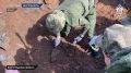 Сотрудники СК России по Волгоградской области и кадеты приняли участие в церемонии захоронения защитников Сталинграда