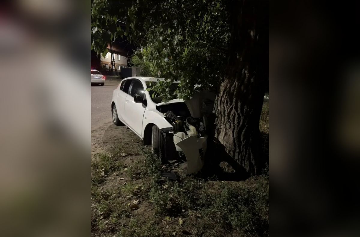 Водительница и два пассажира попали в больницу после столкновения иномарки с деревом в Воронеже