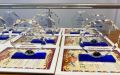 Стартовал приём заявок на конкурс премии «За вклад в развитие воронежского здравоохранения и повышение престижности медицинских профессий»