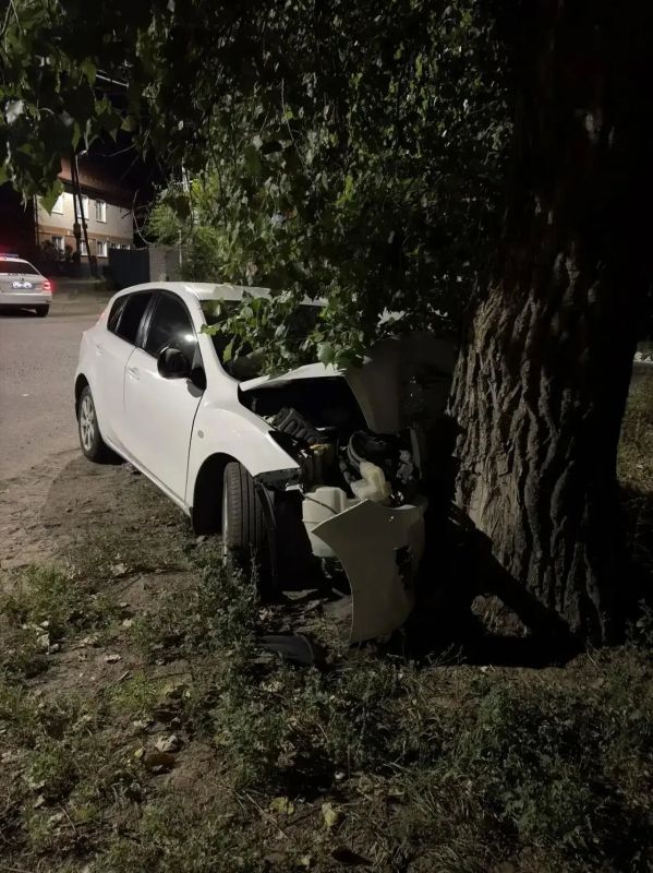 В Воронеже девушка въехала в дерево: три человека пострадали