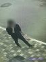 Воронежские полицейские в автобусе «Москва – Новороссийск» задержали 20-летнего курьера мошенников из Краснодарского края