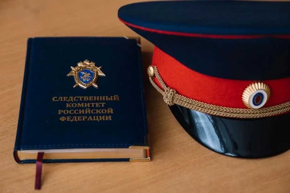 В Воронеже возбуждено уголовное дело по факту нападения собак на несовершеннолетнего