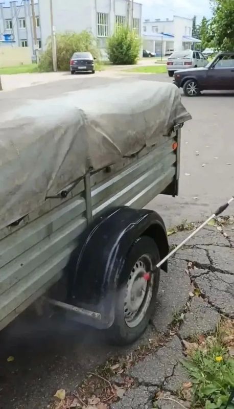 Грузовик с огромной партией нелегального мяса задержали в Воронежской области