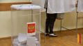 «Политическая система страны демонстрирует зрелость и открытость»: воронежские эксперты оценили ход выборной кампании
