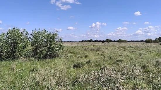 Под Воронежем снова никто не выкупил 115 га структуры концерна «Созвездие»