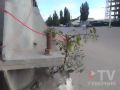 На Новосибирской помидоры пробились сквозь бетон
