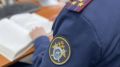 В Воронежской области перед судом предстанет женщина, обвиняемая в ненадлежащем исполнении обязанностей по воспитанию и истязании своего малолетнего сына