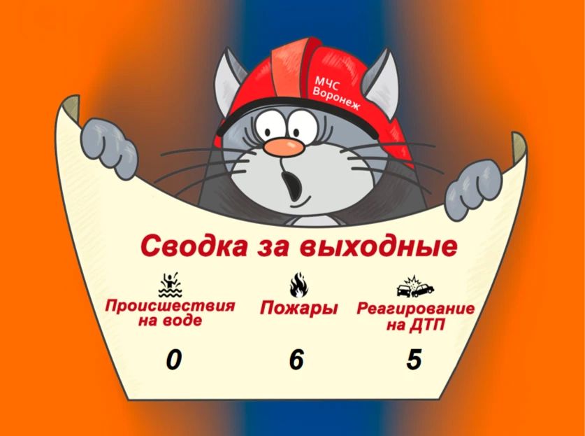 Оперативная сводка за выходные