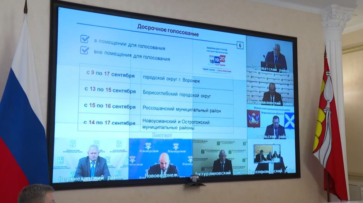 Досрочное голосование в Воронежской области пройдёт с 9 по 17 сентября