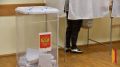 Воронежцы впервые смогут проголосовать досрочно