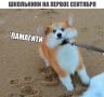 1 сентября в Воронеже обещают до +29