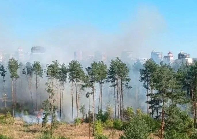 Два крупных ландшафтных пожара одновременно вспыхнули в разных районах Воронежа