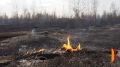 В Воронежской области вновь продлили предупреждение о чрезвычайной пожароопасности