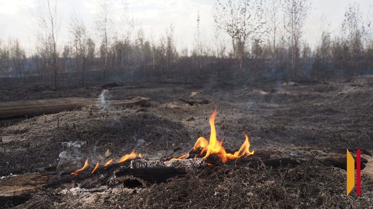 В Воронежской области вновь продлили предупреждение о чрезвычайной пожароопасности