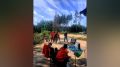 � �������� ���������� ������ 87-������� ����������, ������� ���� � ������� � ���������� � ����