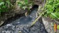 В Левобережном районе Воронежа сточные воды сливались в пруд «Масловский»