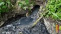 В Левобережном районе сточные воды сливались в пруд «Масловский»