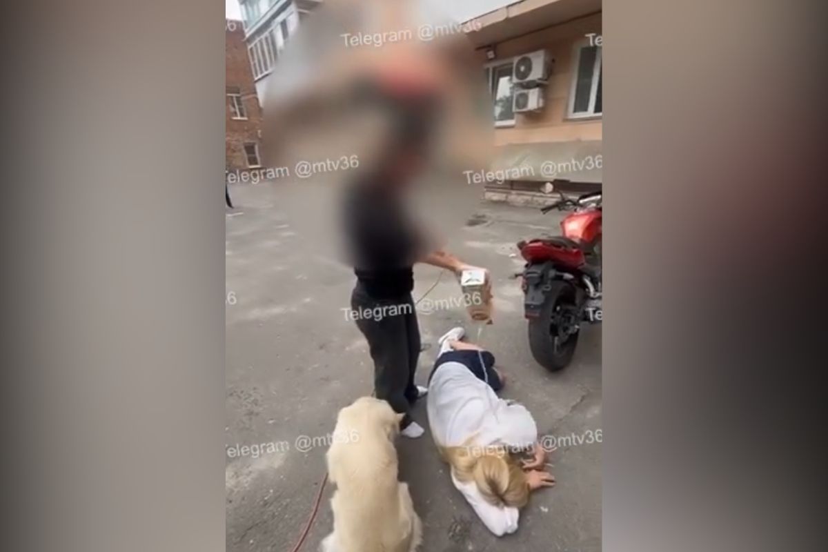 Кефир, грабли и перцовка: чем обернулась война соседей за парковку в воронежском дворе